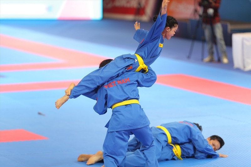 Vovinam nổi bật với hệ thống kỹ thuật linh hoạt, kết hợp giữa thực chiến, tự vệ và biểu diễn thẩm mỹ.