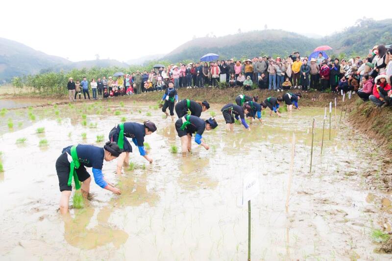 Lễ hội Lồng Tồng bắt nguồn từ đời sống nông nghiệp và tín ngưỡng cầu mùa của cư dân trồng lúa nước. 