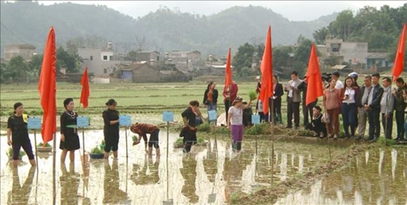 Lễ hội Lồng Tồng thường diễn ra vào tháng Giêng âm lịch tại sân đình, bãi đất rộng hoặc khu ruộng tốt của bản. 