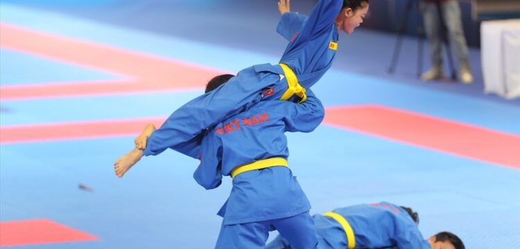Vovinam nổi bật với hệ thống kỹ thuật linh hoạt, kết hợp giữa thực chiến, tự vệ và biểu diễn thẩm mỹ. 