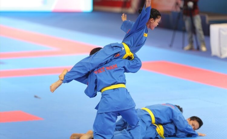 Vovinam nổi bật với hệ thống kỹ thuật linh hoạt, kết hợp giữa thực chiến, tự vệ và biểu diễn thẩm mỹ. 
