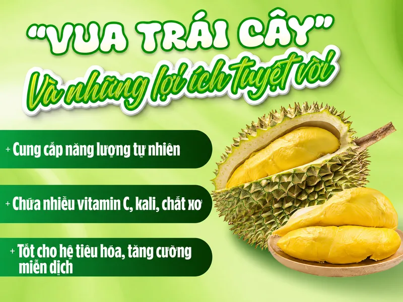 Sầu riêng cung cấp năng lượng, chất xơ cùng nhiều vitamin và khoáng chất cần thiết cho cơ thể.
